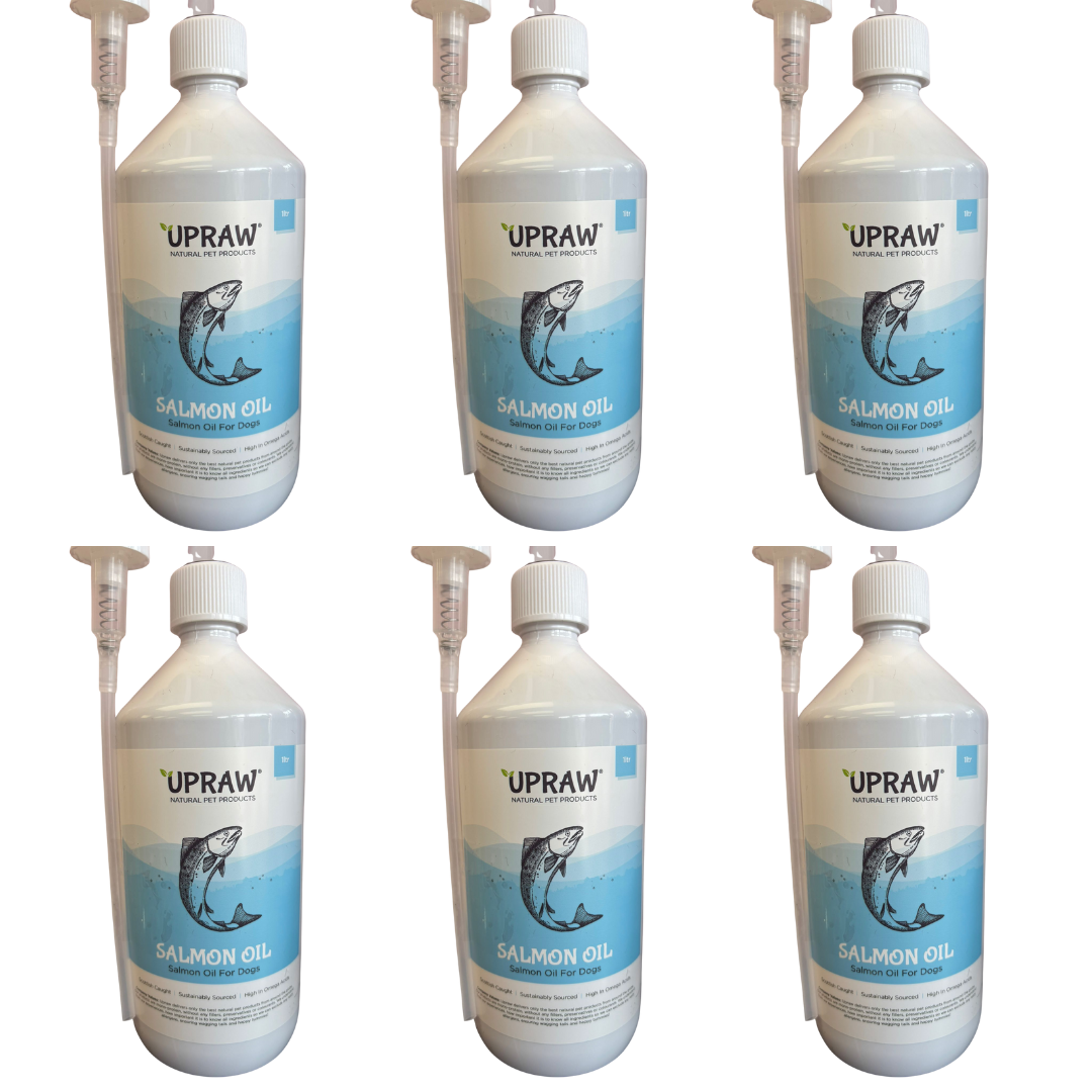 Salmon Oil