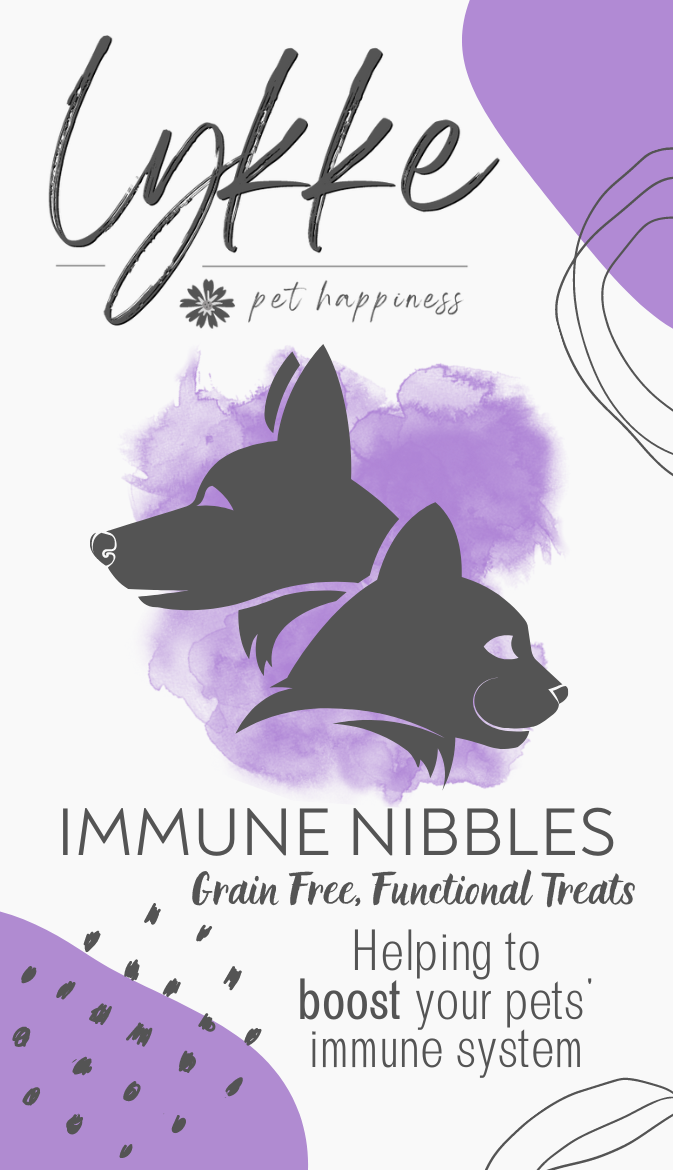 Lykke Functional Treats | Immune