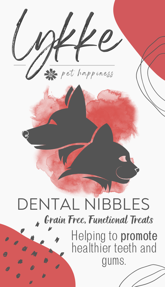 Lykke Functional Treats | Dental