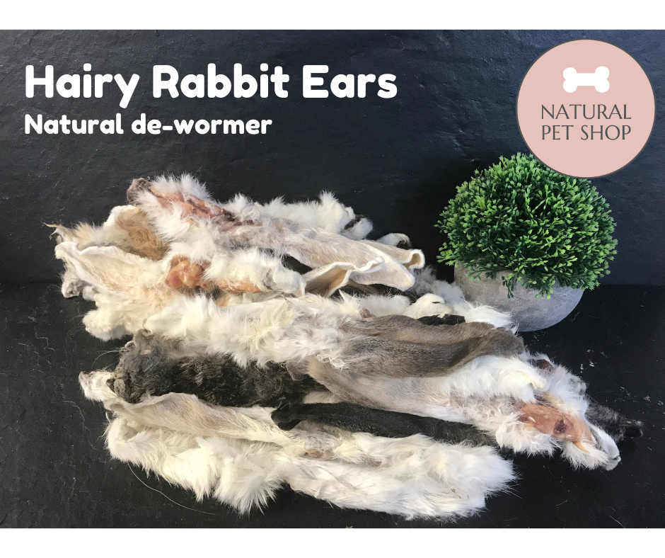 Hairy Rabbit Ear