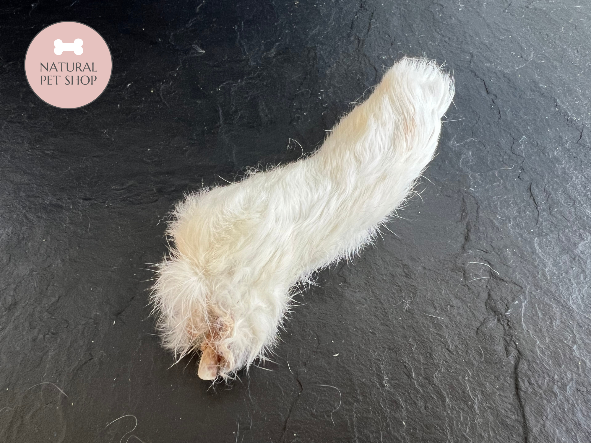 Hairy Rabbit Foot