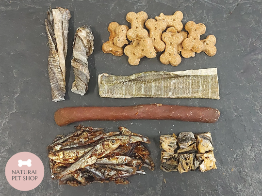 Fish Letterbox | Natural Treat Box for Dogs