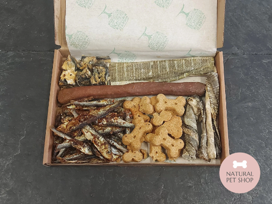 Fish Letterbox | Natural Treat Box for Dogs