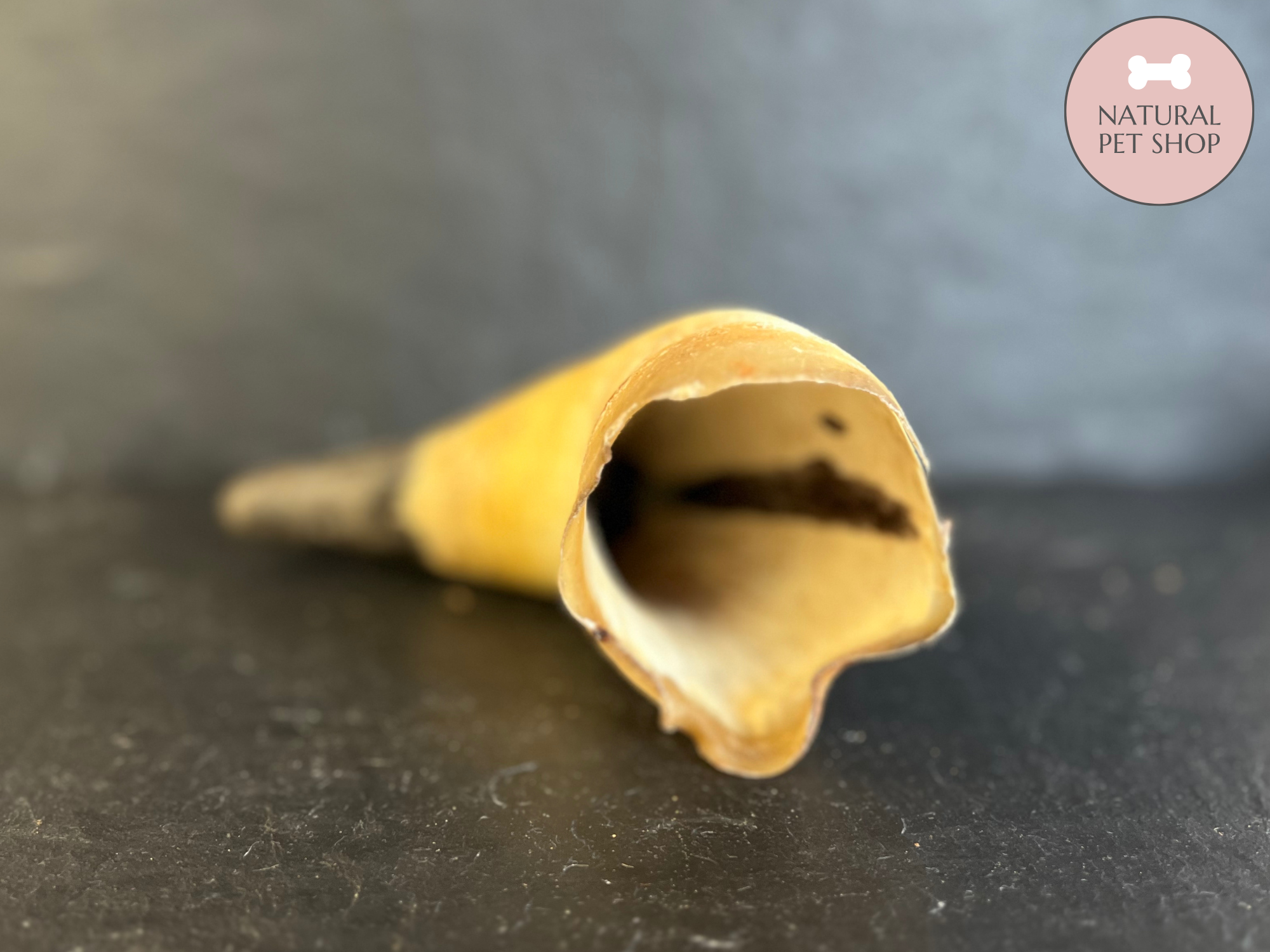 Empty Cow Horn