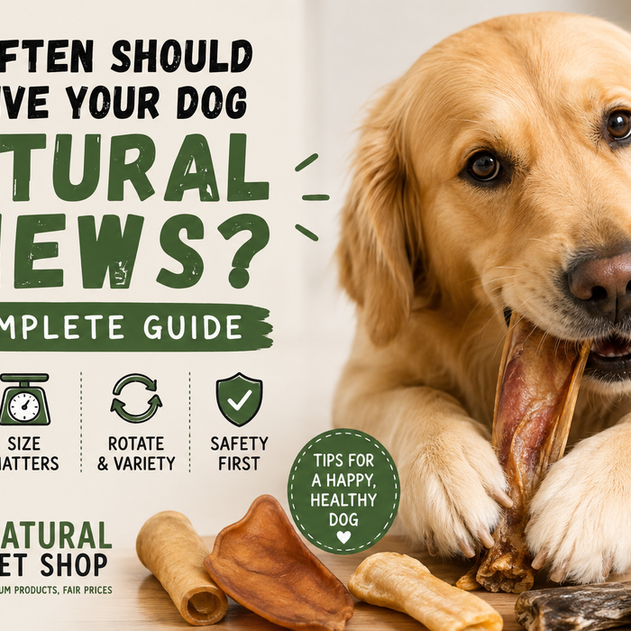 How Often Should You Give Your Dog Natural Chews?