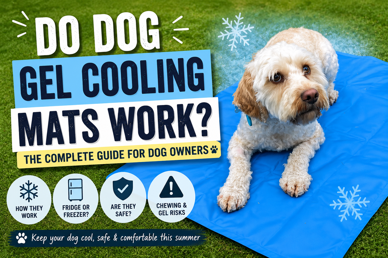Do Dog Gel Cooling Mats Really Work? The Complete Safety Guide for Dog Owners