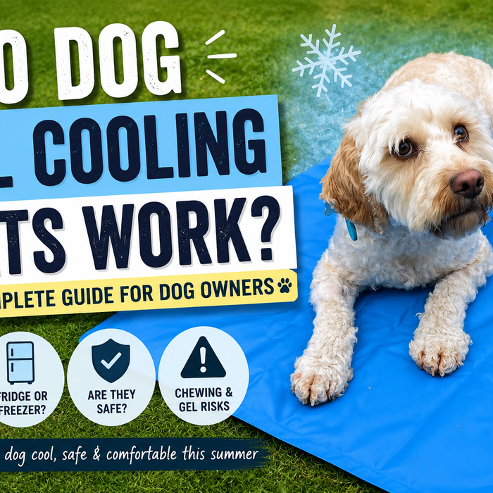Do Dog Gel Cooling Mats Really Work? The Complete Safety Guide for Dog Owners
