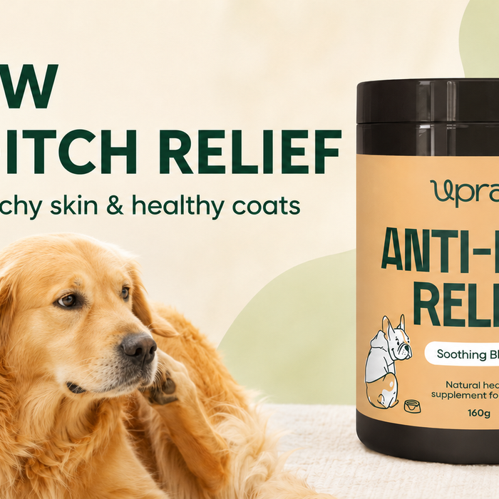 Upraw Anti-Itch Relief for Dogs: Can It Help Soothe Itchy Skin?