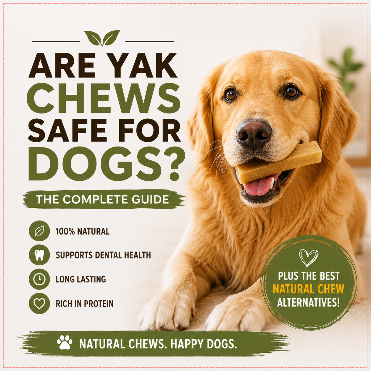 Are Yak Chews Safe for Dogs? The Complete Guide to Natural Dog Chews
