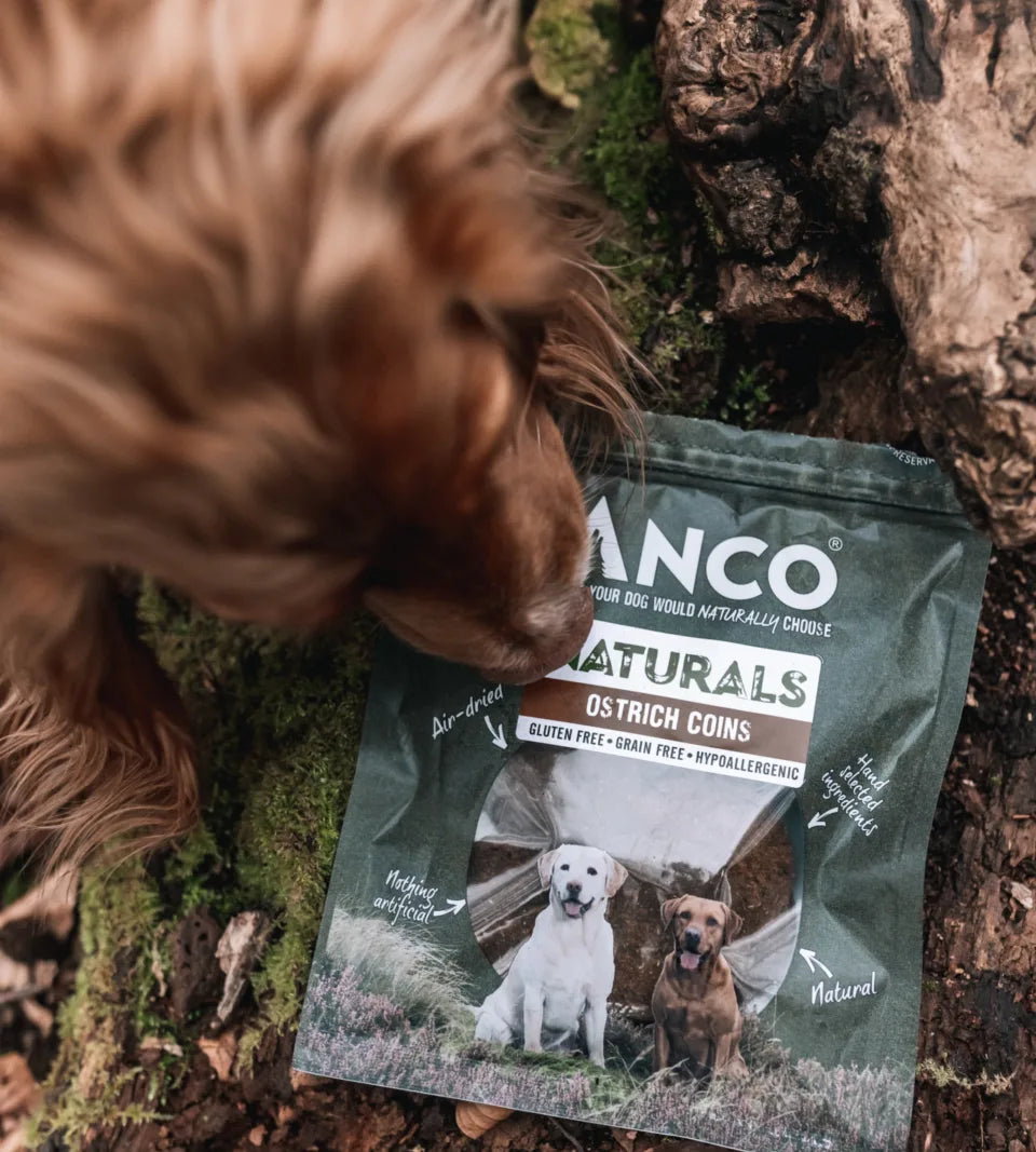 Ostrich Coins for Dogs