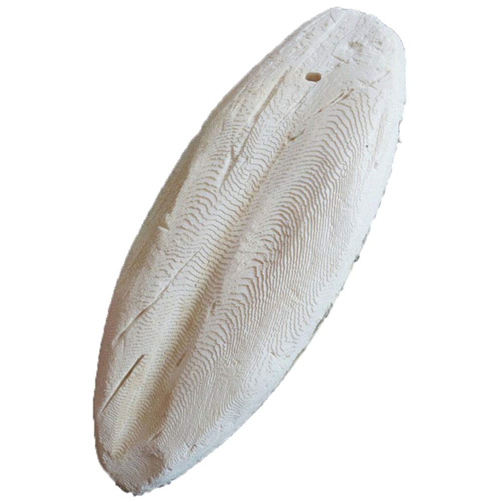 Cuttlefish Bone for Birds – 1 Piece