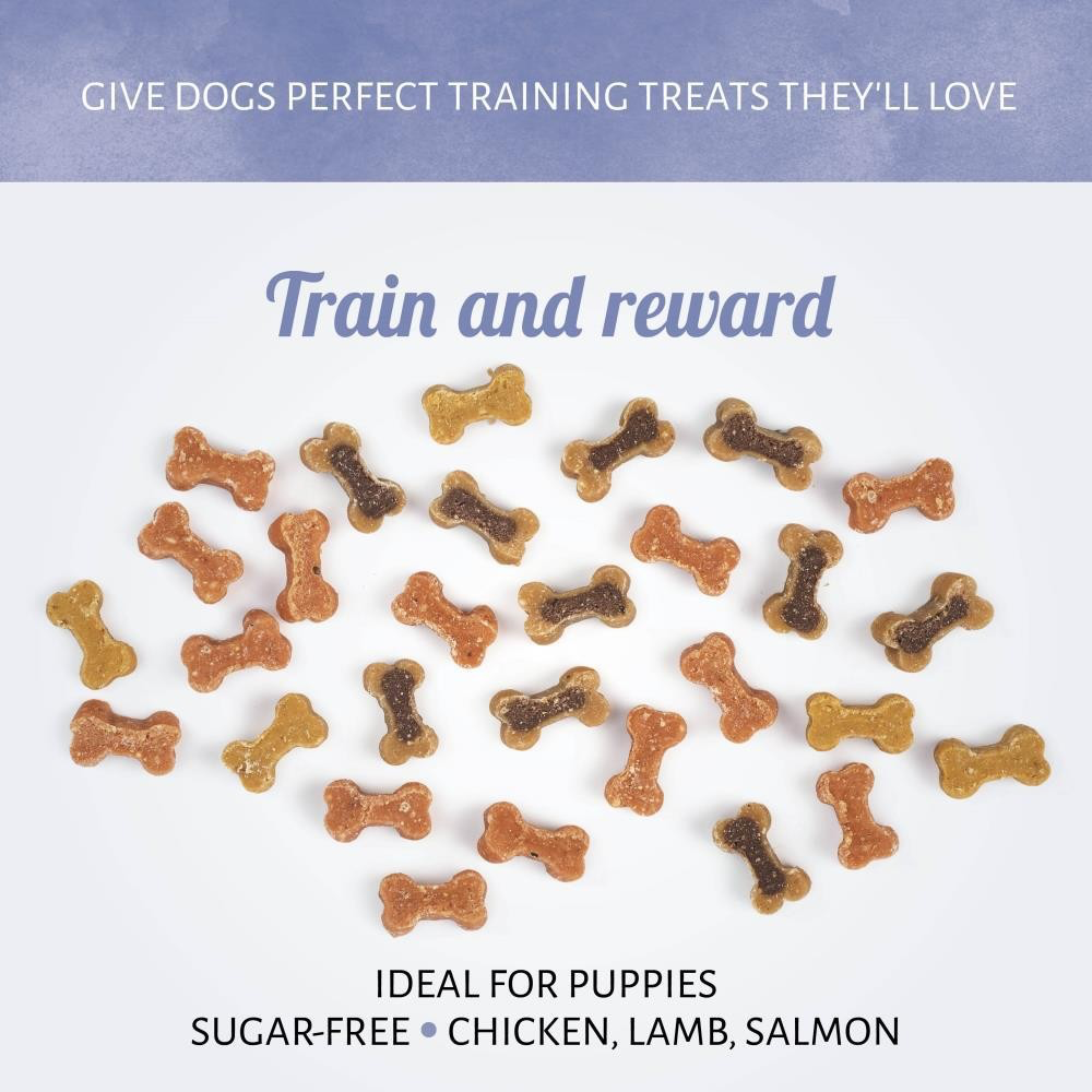 Mixed Mini Bones Training Treats for Dogs – 500g