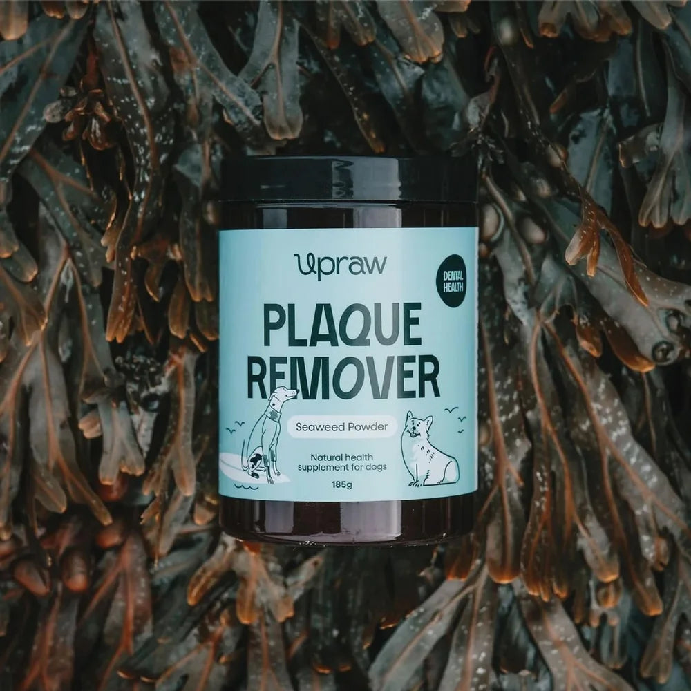 Upraw Plaque Remover for Dogs