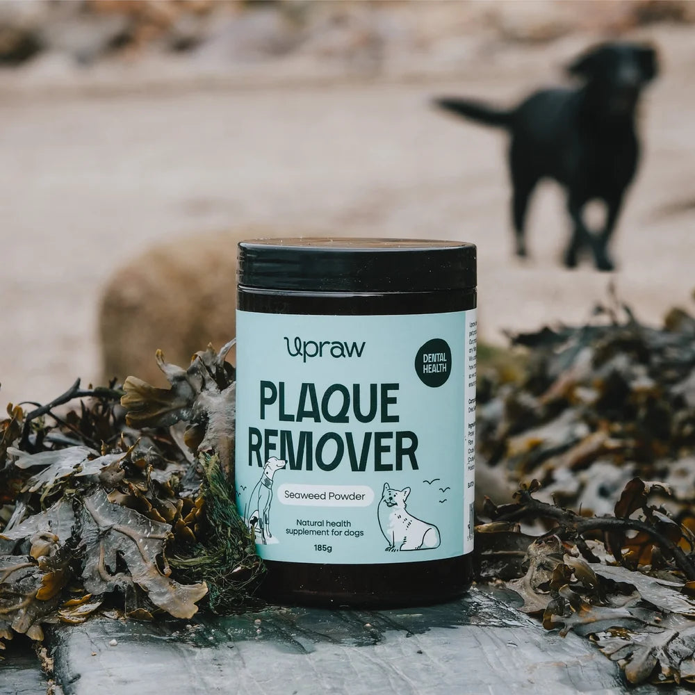 Upraw Plaque Remover for Dogs