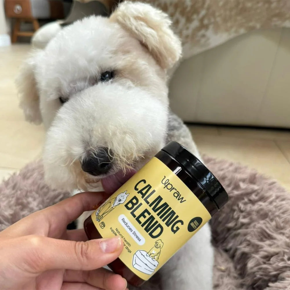 Upraw Calming Blend for Dogs