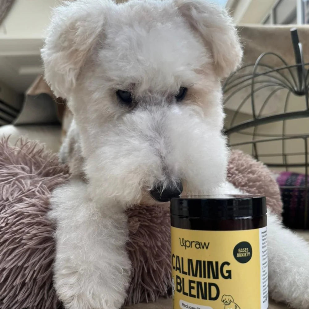 Upraw Calming Blend for Dogs