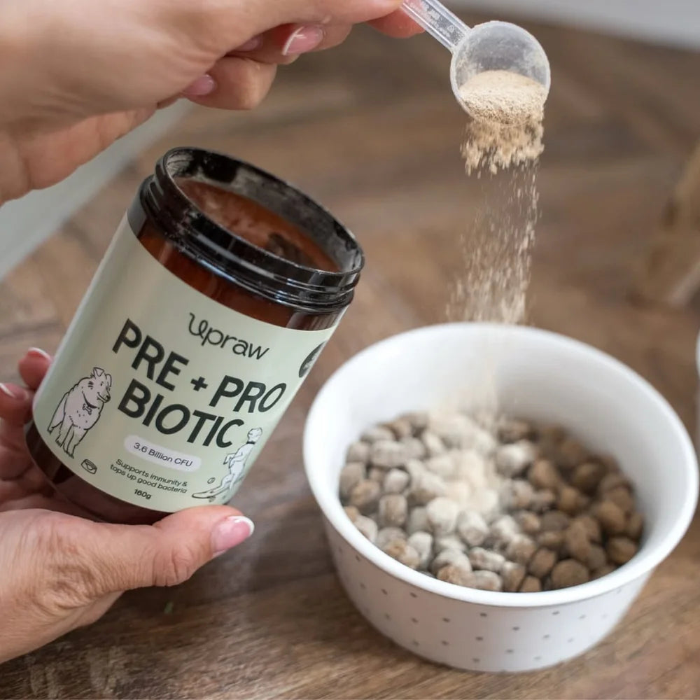 Upraw Pre + Probiotic Supplement Powder for Dogs