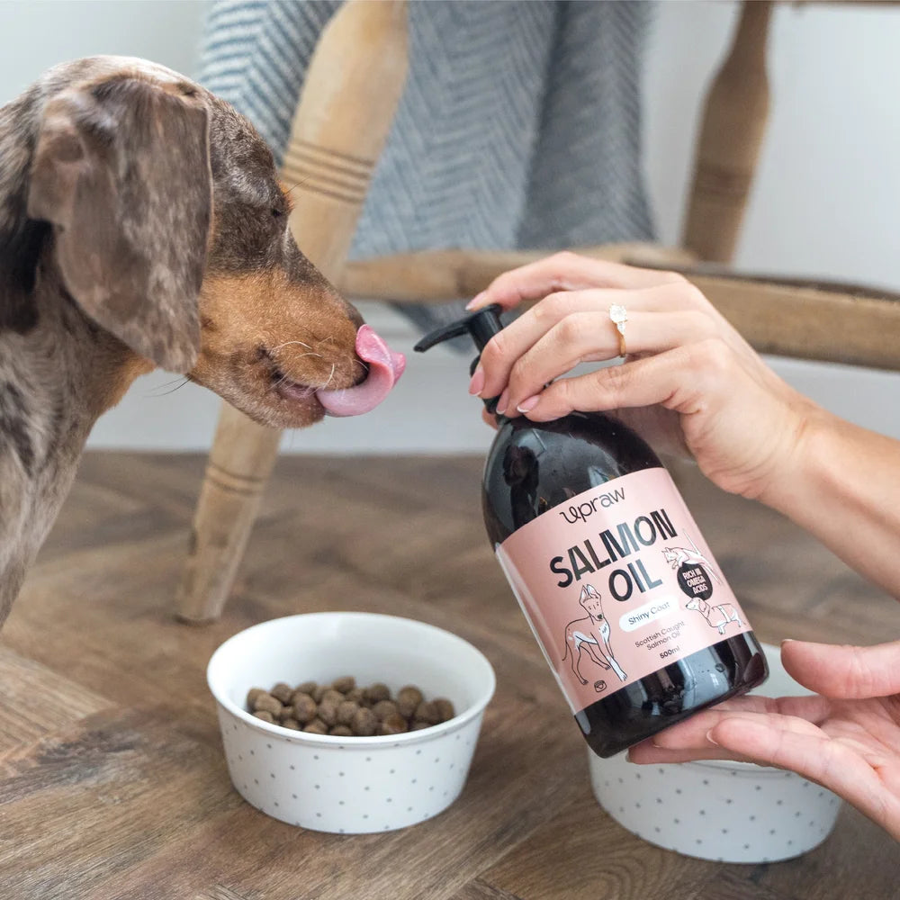Upraw Scottish Salmon Oil for Dogs