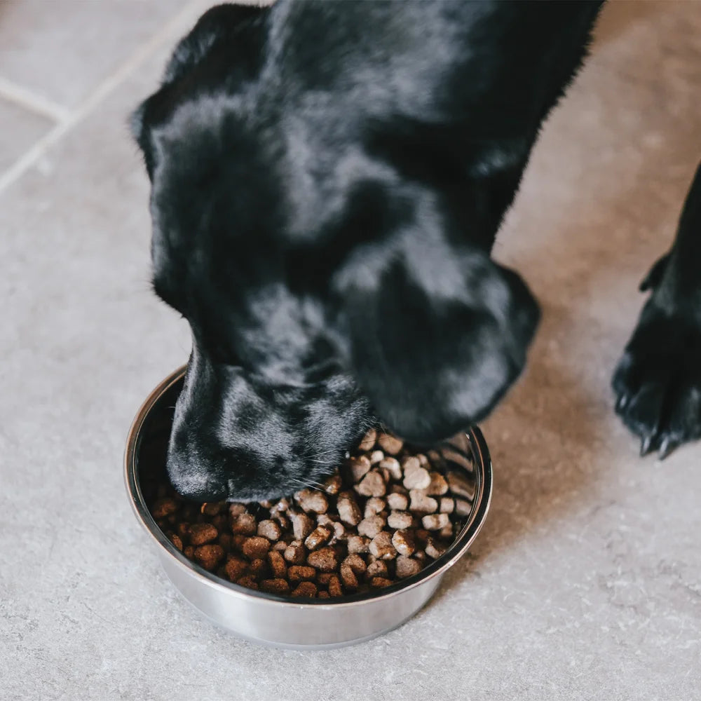 Upraw Calming Salmon Oil for Dogs