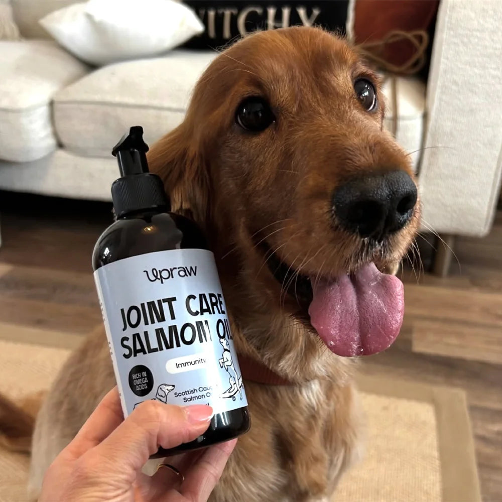 Upraw Joint Care Salmon Oil for Dogs