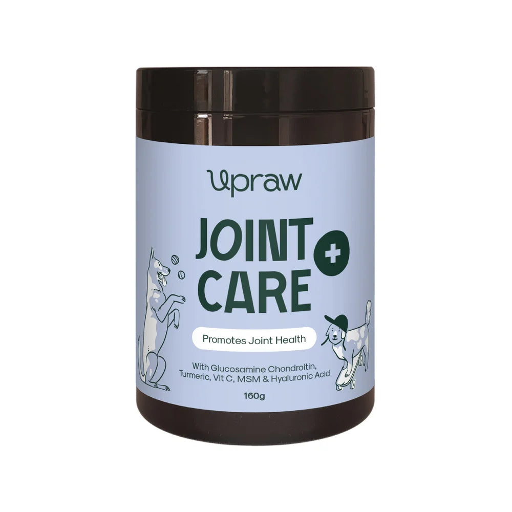 Upraw Joint Care+ Supplement Powder for Dogs