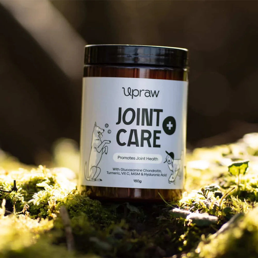 Upraw Joint Care+ Supplement Powder for Dogs