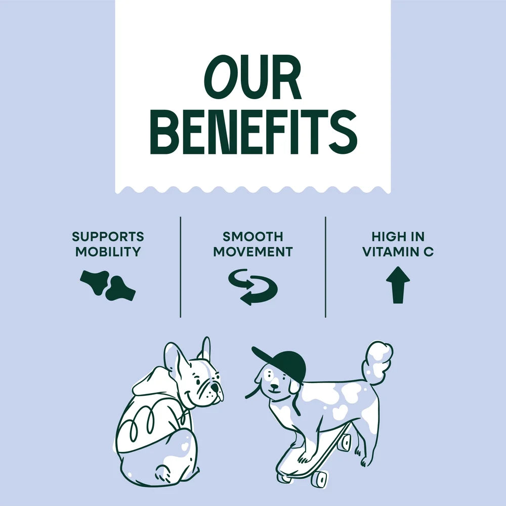 Upraw Joint Care+ Supplement Powder for Dogs