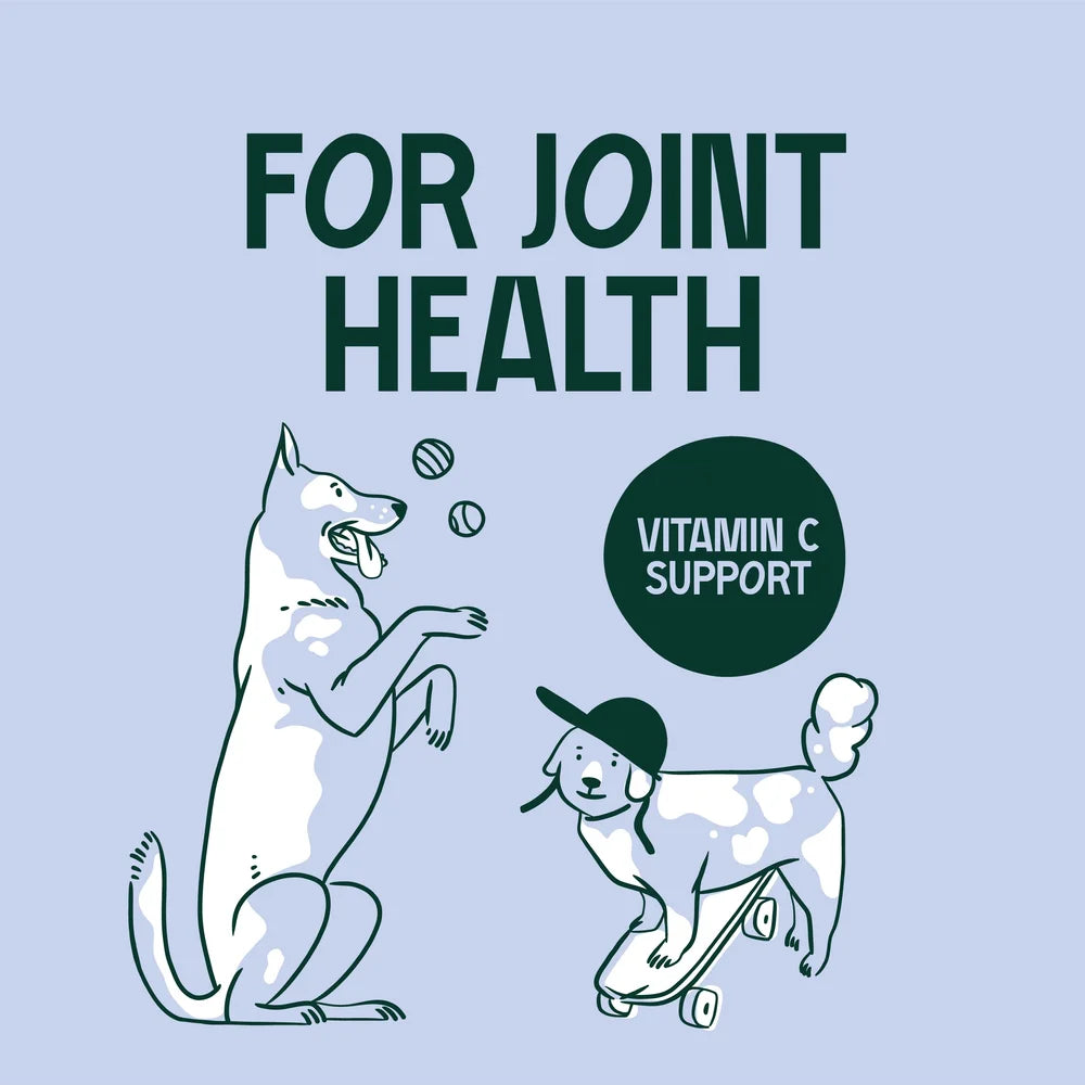 Upraw Joint Care+ Supplement Powder for Dogs