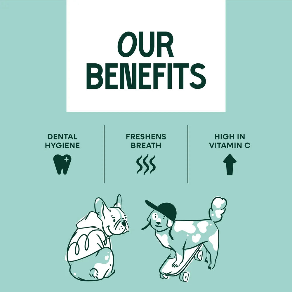 Upraw Plaque Remover for Dogs
