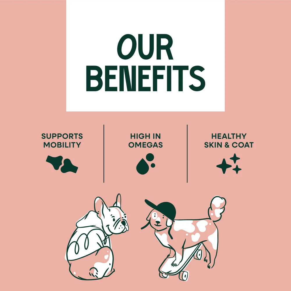 Upraw Scottish Salmon Oil for Dogs