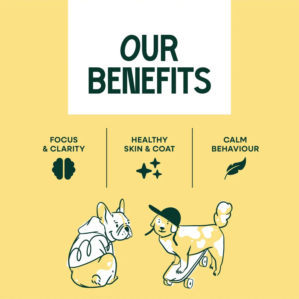 Upraw Calming Salmon Oil for Dogs