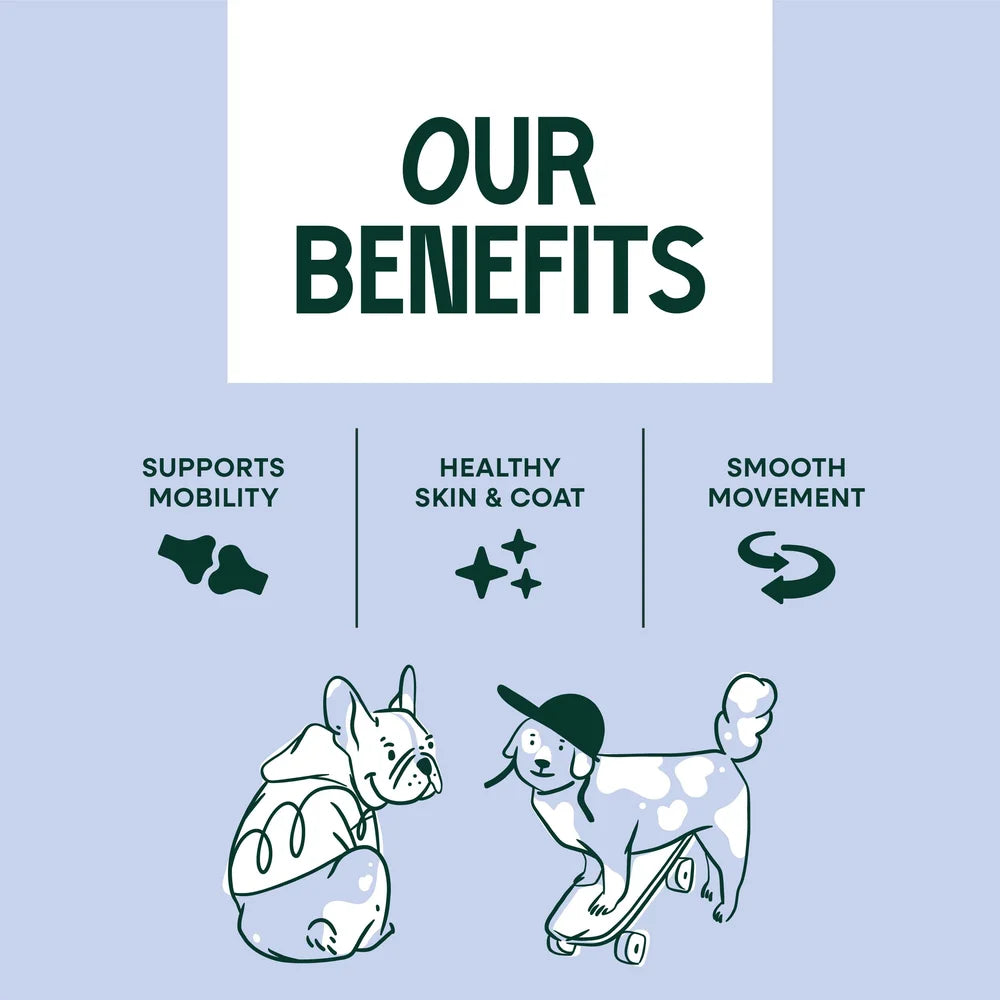 Upraw Joint Care Salmon Oil for Dogs