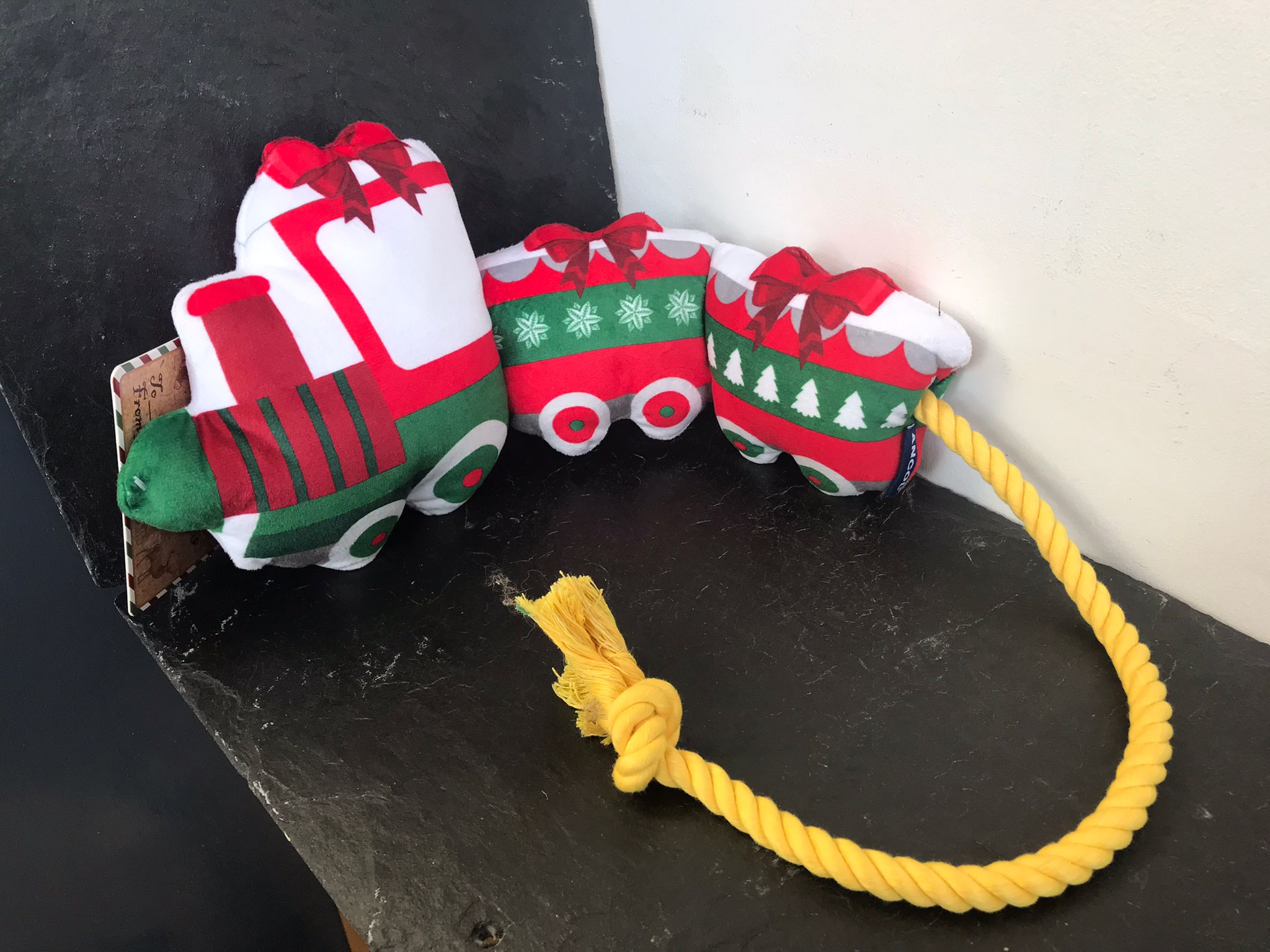 Ropey Train | Ancol Dog Toy