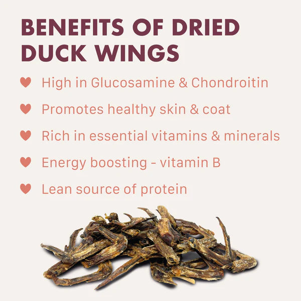 Natural Duck Wings for Dogs x5