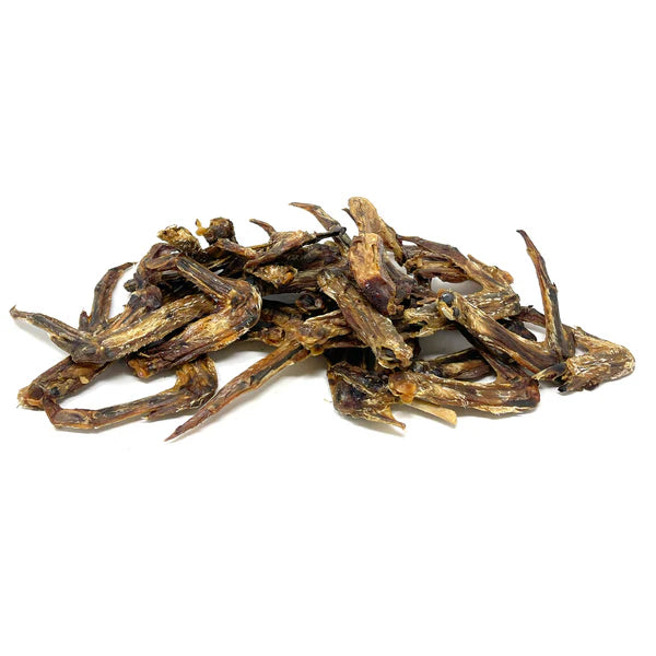 Natural Duck Wings for Dogs x5
