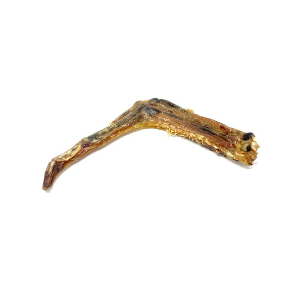 Natural Duck Wings for Dogs x5