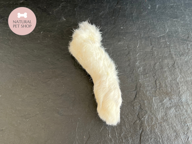 Hairy Rabbit Foot