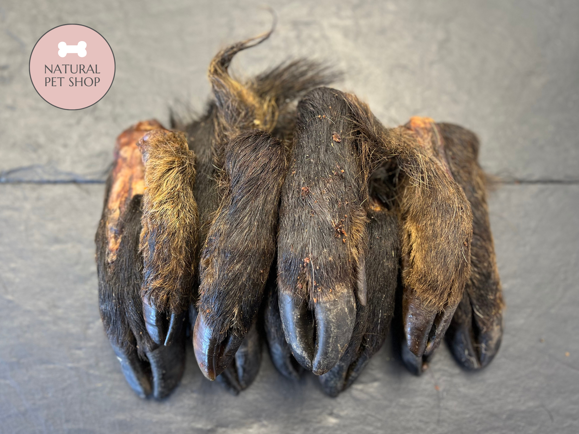 Hairy Wild Boar Feet