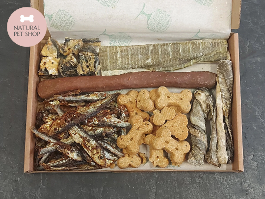 Fish Letterbox | Natural Treat Box for Dogs