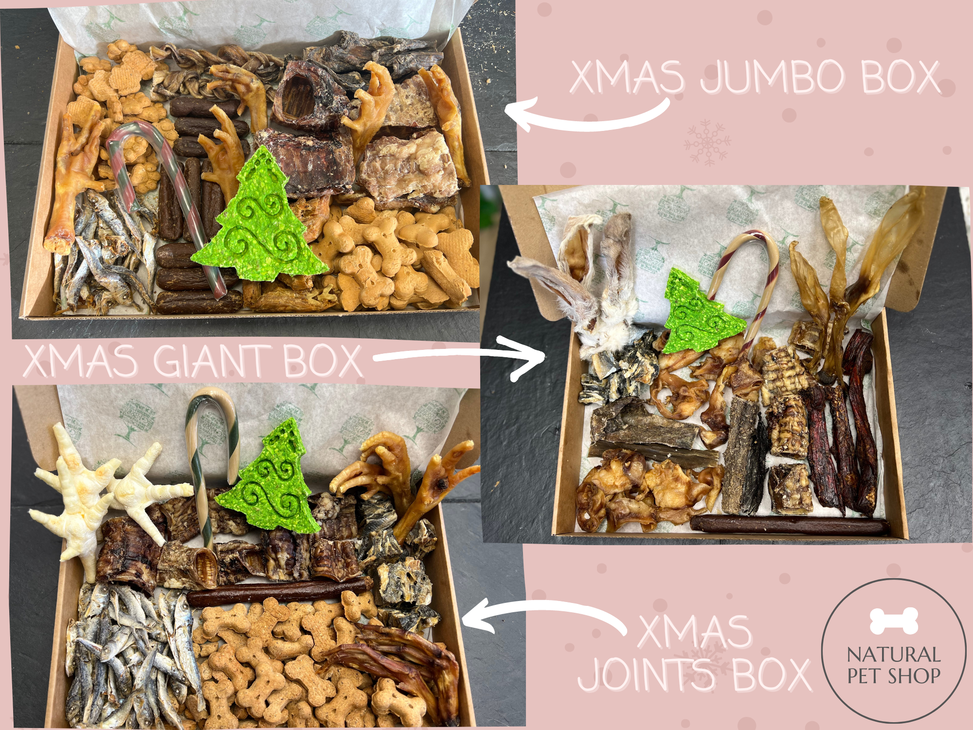 Christmas Treat Gift Box for Dogs