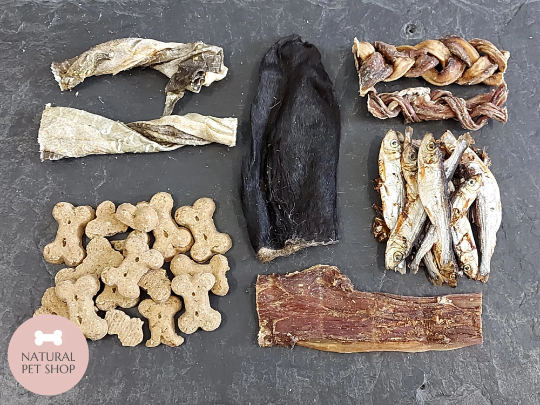 Gourmet Letterbox | Treat Box for Dogs