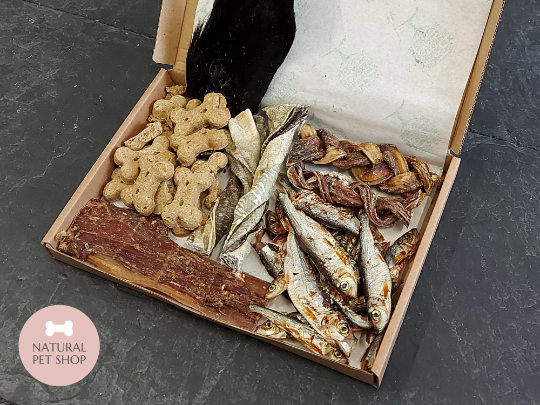 Gourmet Letterbox | Treat Box for Dogs